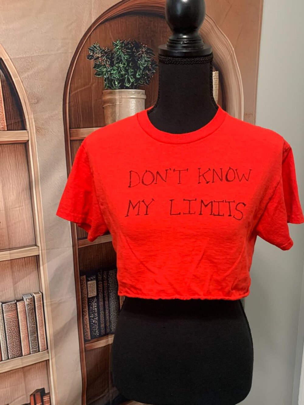 Red Crop Short Sleeve T-Shirt